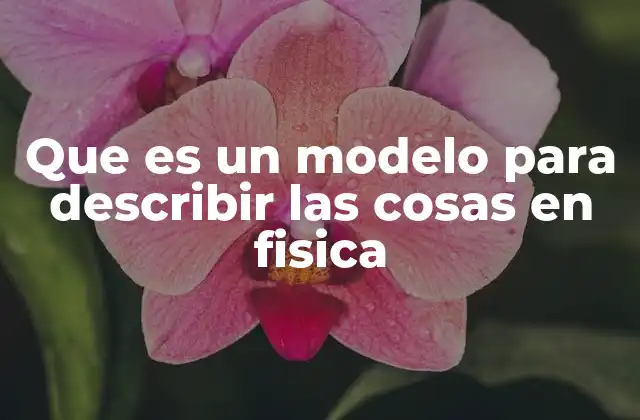 Que es un Modelo para Describir las Cosas en Fisica