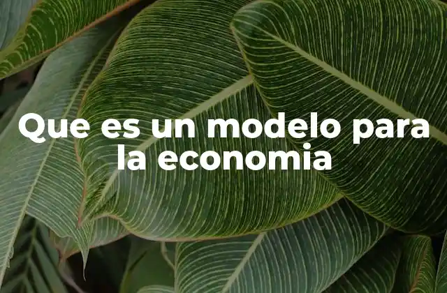 Que es un Modelo para la Economia