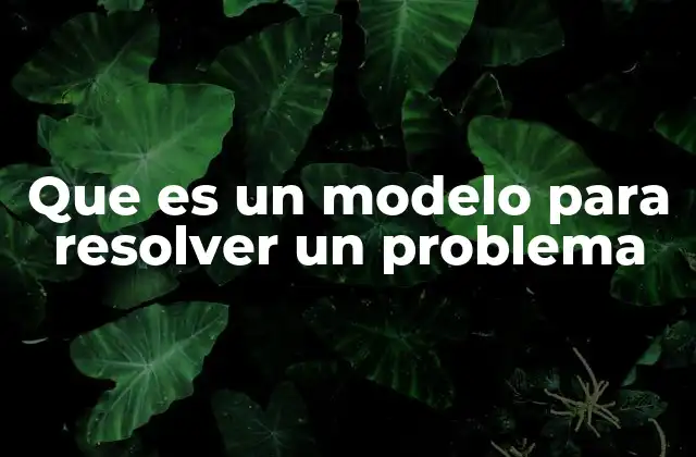 Que es un Modelo para Resolver un Problema