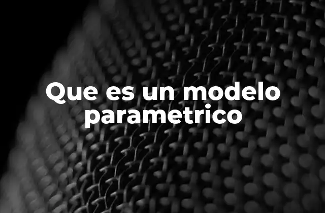 Que es un Modelo Parametrico