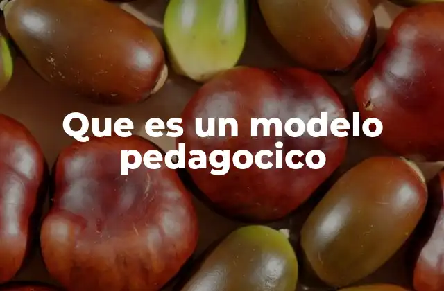 Que es un Modelo Pedagocico