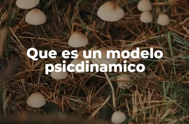 Que es un Modelo Psicdinamico