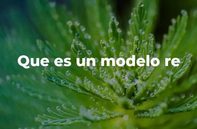 Que es un Modelo Re