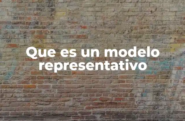 Que es un Modelo Representativo