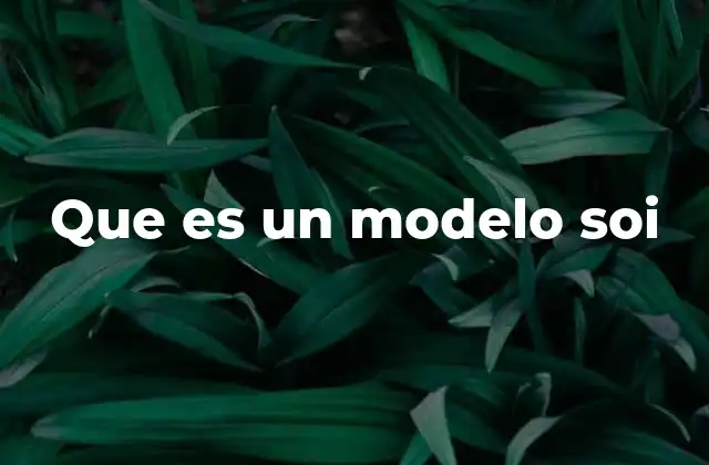 Que es un Modelo Soi