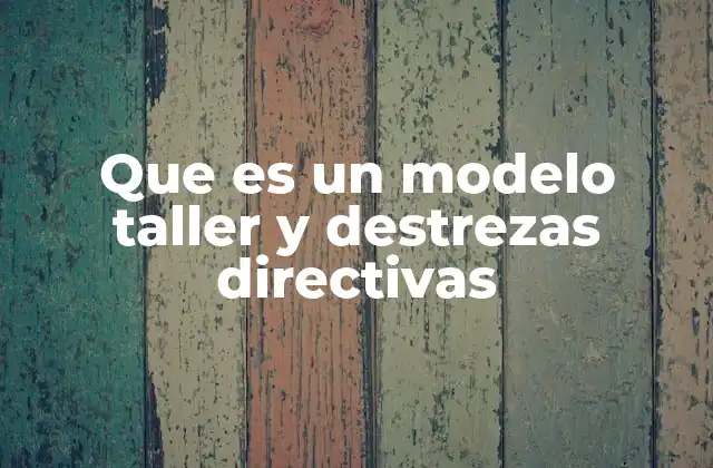 Que es un Modelo Taller y Destrezas Directivas