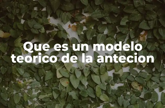 Que es un Modelo Teorico de la Antecion