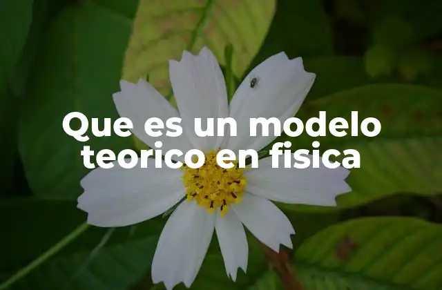 Que es un Modelo Teorico en Fisica