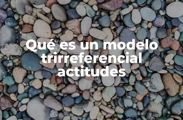 Qué es un Modelo Trirreferencial Actitudes