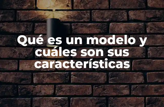 Qué es un Modelo y Cuáles Son Sus Características