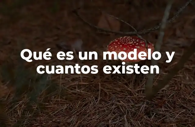 Qué es un Modelo y Cuantos Existen
