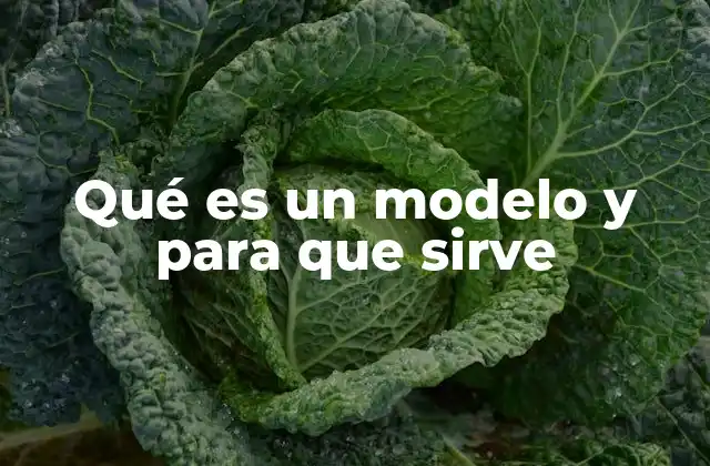 Qué es un Modelo y para que Sirve