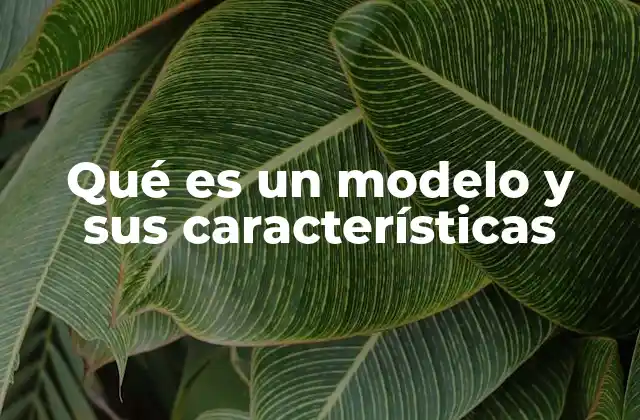 Qué es un Modelo y Sus Características