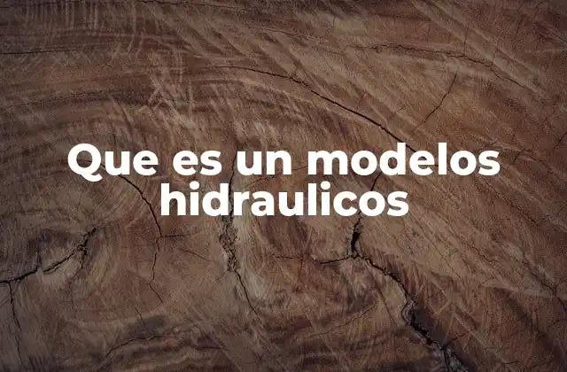 Que es un Modelos Hidraulicos