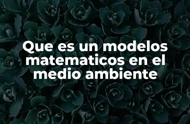 Que es un Modelos Matematicos en el Medio Ambiente