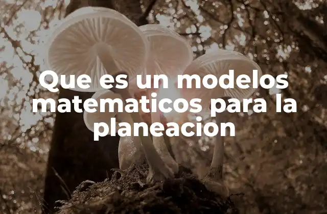 Que es un Modelos Matematicos para la Planeacion