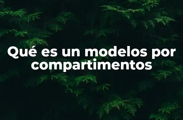 Qué es un Modelos por Compartimentos