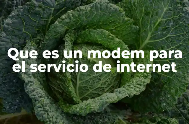 Que es un Modem para el Servicio de Internet 2 La importancia de un dispositivo de conversión de señales