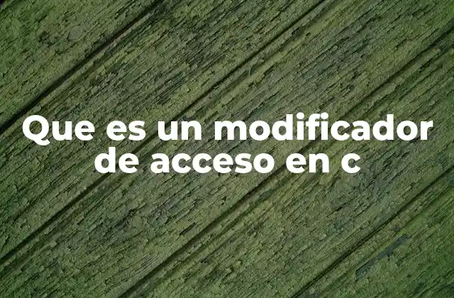 Que es un Modificador de Acceso en C