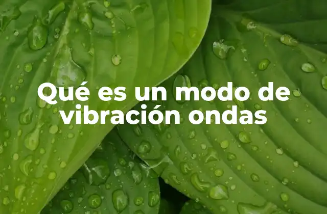 Qué es un Modo de Vibración Ondas 2 La importancia de los modos de vibración en sistemas físicos