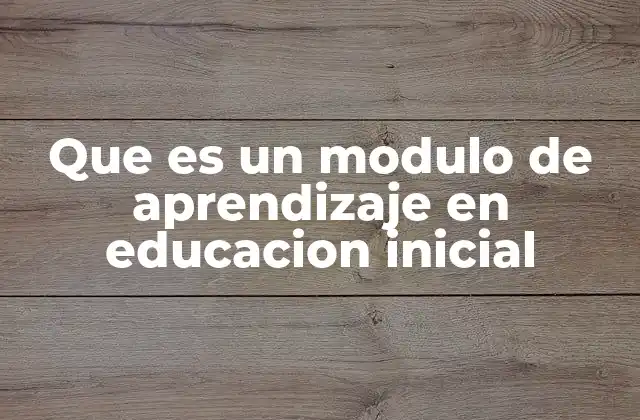 La base estructurada del proceso educativo en los primeros años