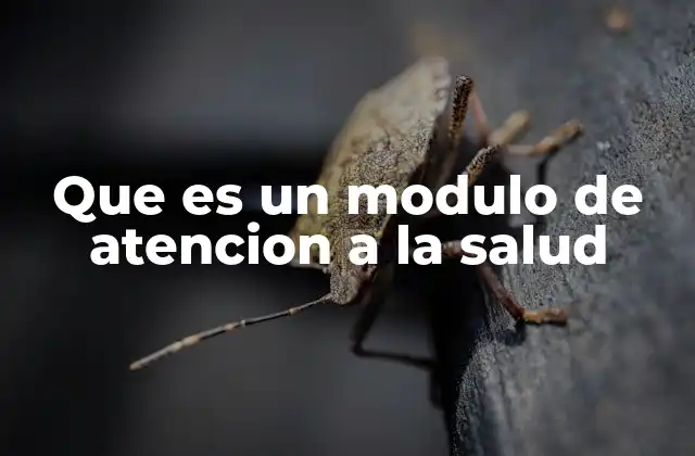 Que es un Modulo de Atencion a la Salud