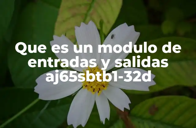 Que es un Modulo de Entradas y Salidas Aj65sbtb1-32d