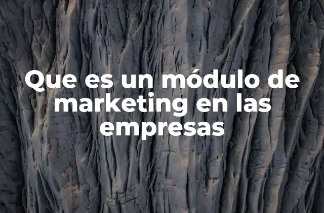 Que es un Módulo de Marketing en las Empresas