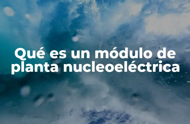 Qué es un Módulo de Planta Nucleoeléctrica