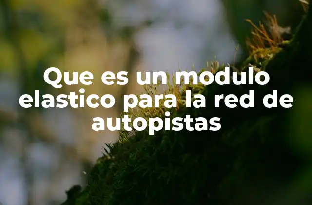 Que es un Modulo Elastico para la Red de Autopistas