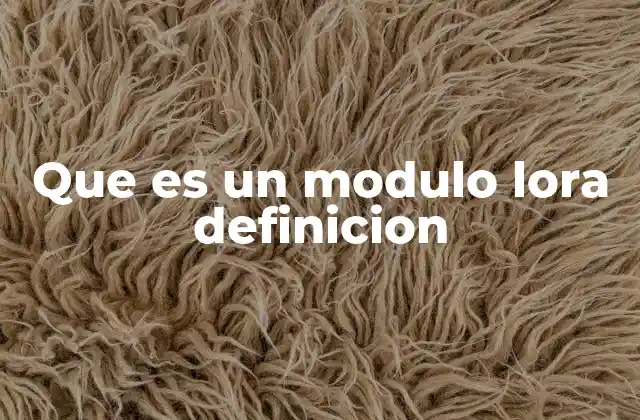 Que es un Modulo Lora Definicion