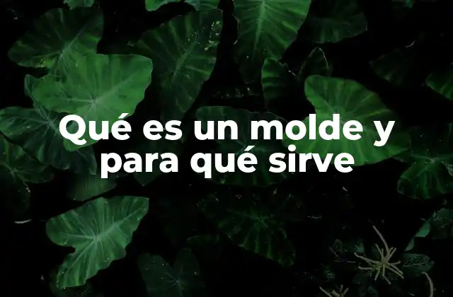 Qué es un Molde y para Qué Sirve 2 Funciones y usos de los moldes en diferentes contextos