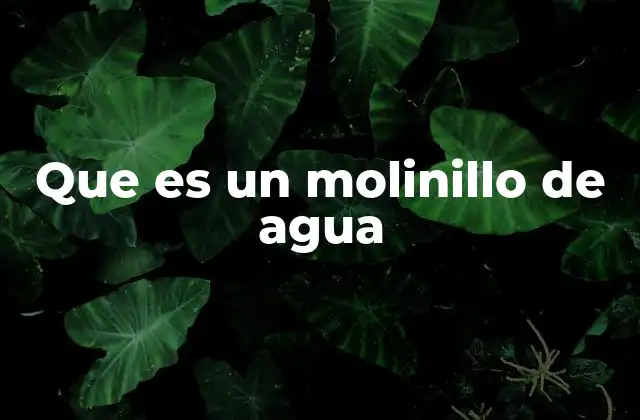 Que es un Molinillo de Agua