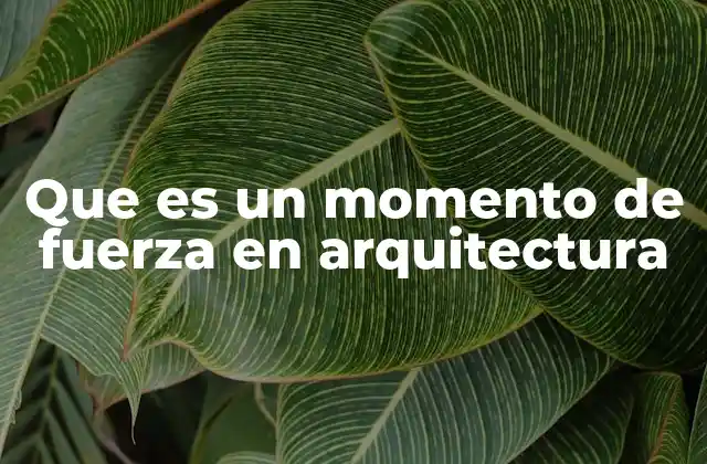 Que es un Momento de Fuerza en Arquitectura