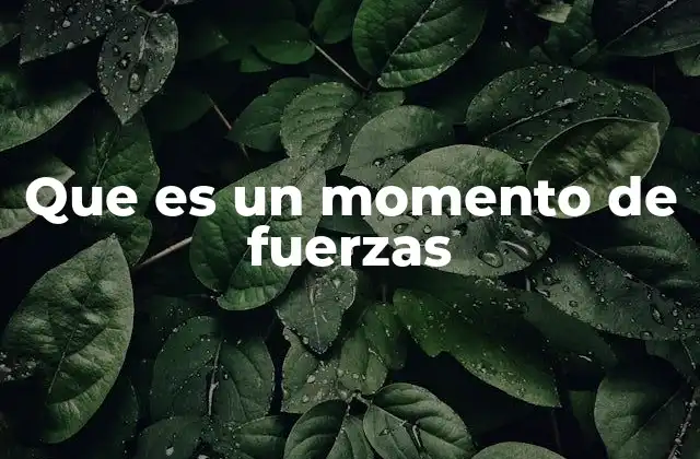 Que es un Momento de Fuerzas