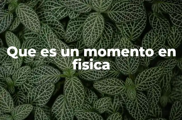 Que es un Momento en Fisica