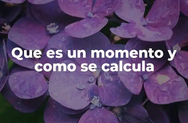 Que es un Momento y como Se Calcula