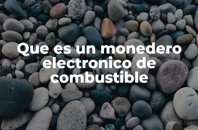 Que es un Monedero Electronico de Combustible
