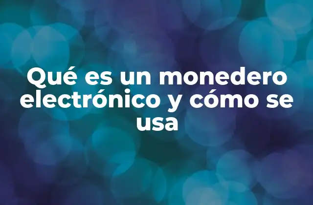 Qué es un Monedero Electrónico y Cómo Se Usa