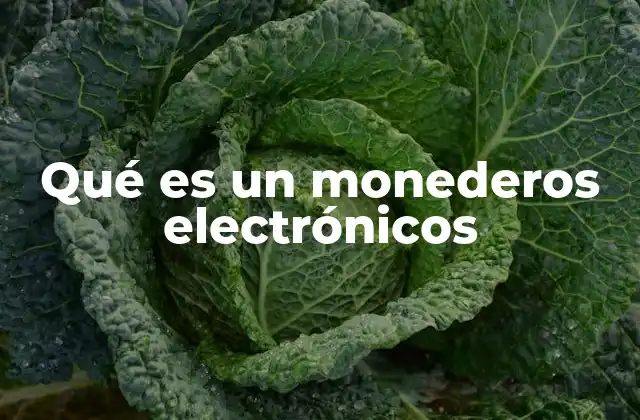 Qué es un Monederos Electrónicos