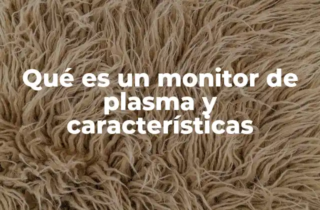 Qué es un Monitor de Plasma y Características