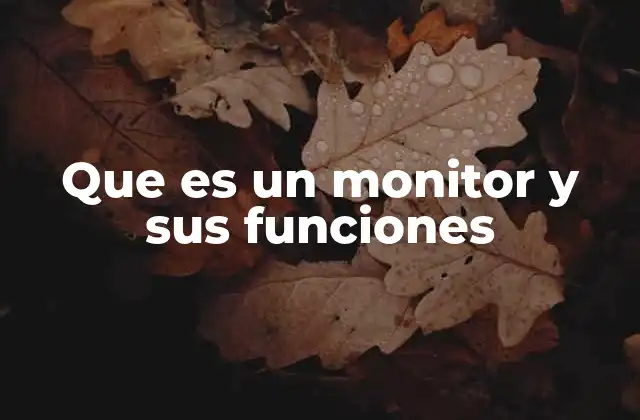 Que es un Monitor y Sus Funciones