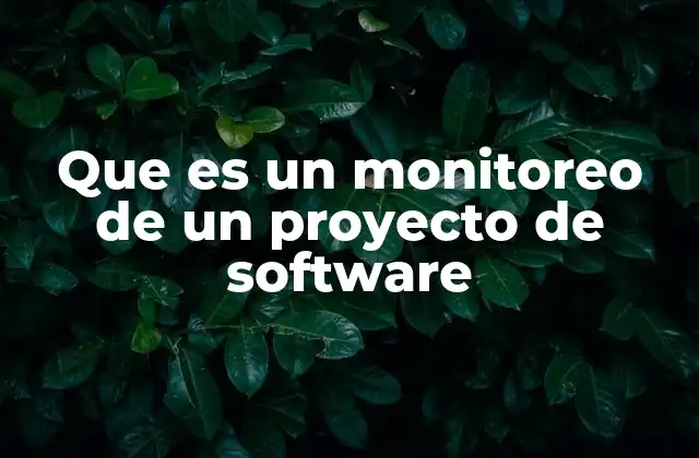 Que es un Monitoreo de un Proyecto de Software