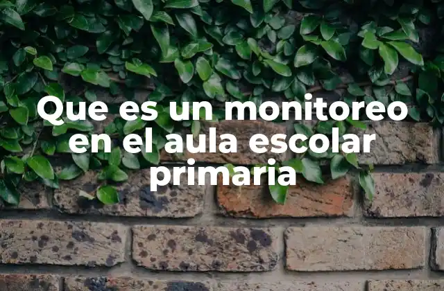 Que es un Monitoreo en el Aula Escolar Primaria