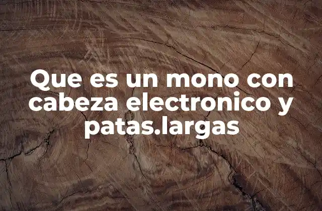 Que es un Mono con Cabeza Electronico y Patas.largas