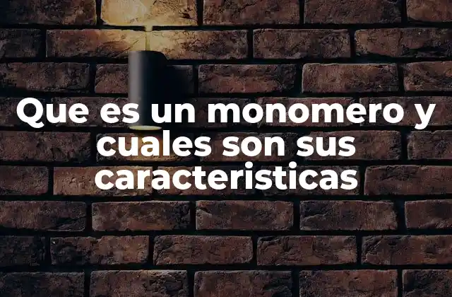 La importancia de los monómeros en la formación de estructuras moleculares