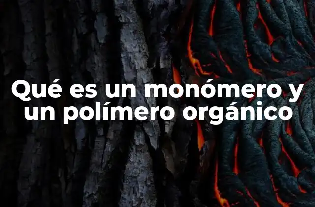 Qué es un Monómero y un Polímero Orgánico