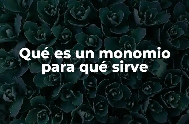 Qué es un Monomio para Qué Sirve