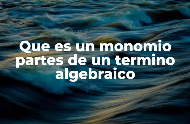 Que es un Monomio Partes de un Termino Algebraico