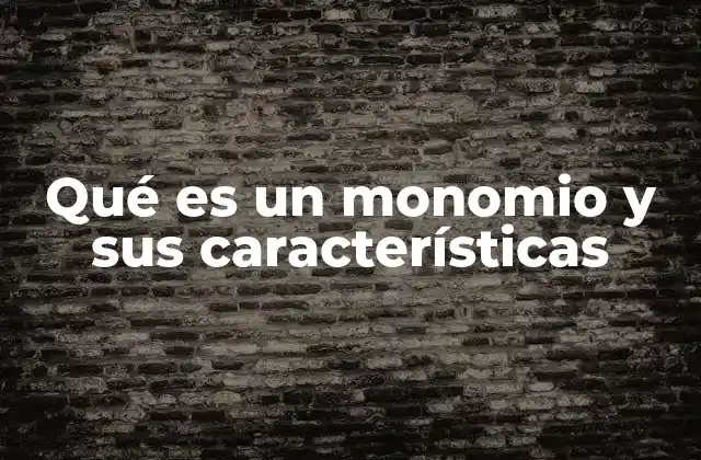 Qué es un Monomio y Sus Características